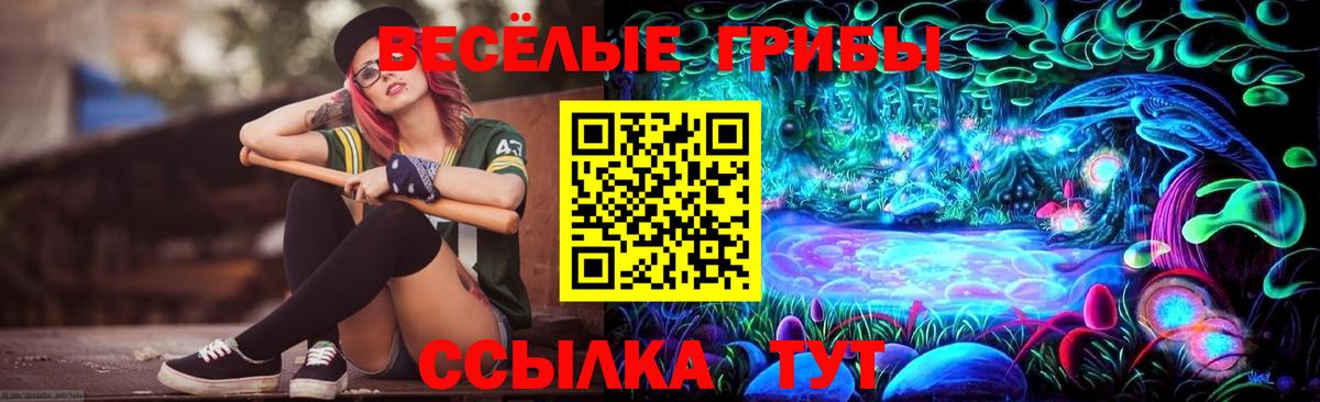 Галлюциногенные грибы Psilocybe  Вход с VPN  Михайловка 